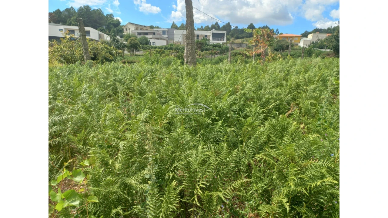 Terreno para Venda em Moreira de Conegos Foto 7