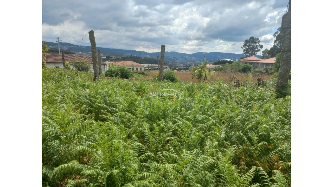 Terreno para Venda em Moreira de Conegos Foto 6