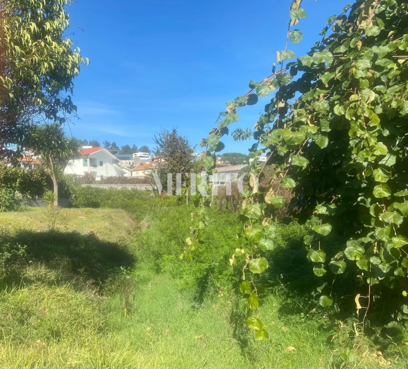 Terreno para Venda em Moreira de Conegos Foto 12