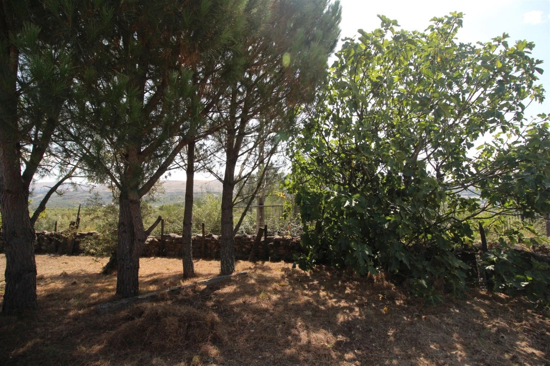 Quinta T0 para Venda em São Paio Foto 10