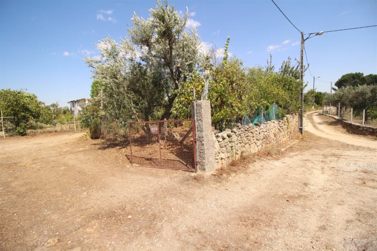 Quinta T0 para Venda em São Paio