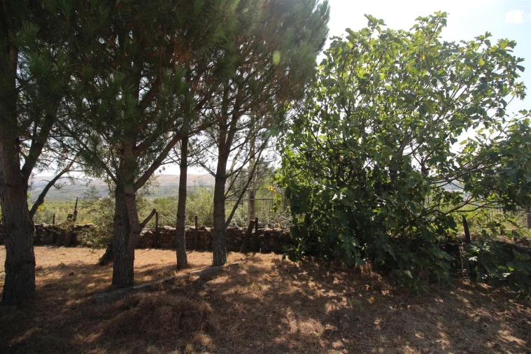 Quinta T0 para Venda em São Paio Foto 10