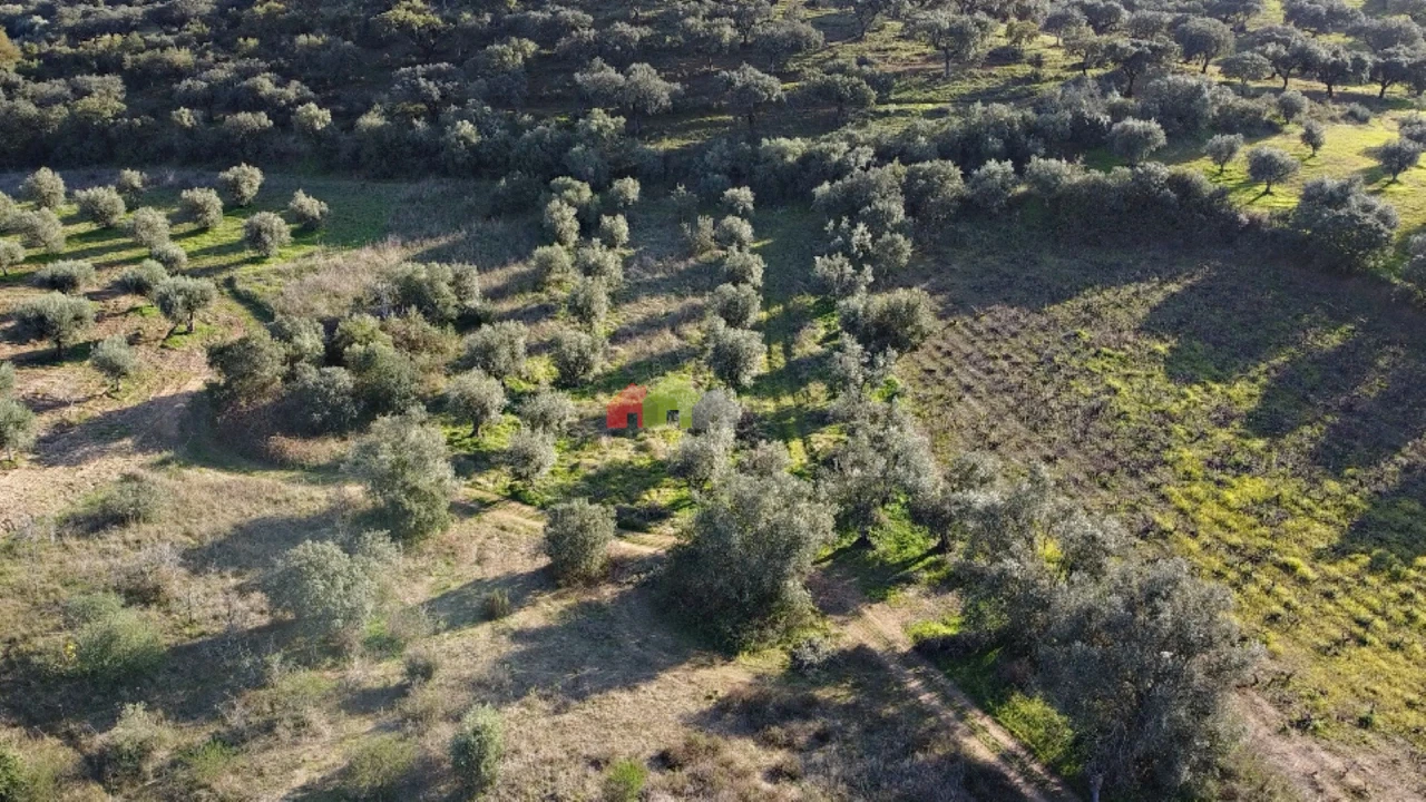 Terreno para Venda em Cuba Foto 5