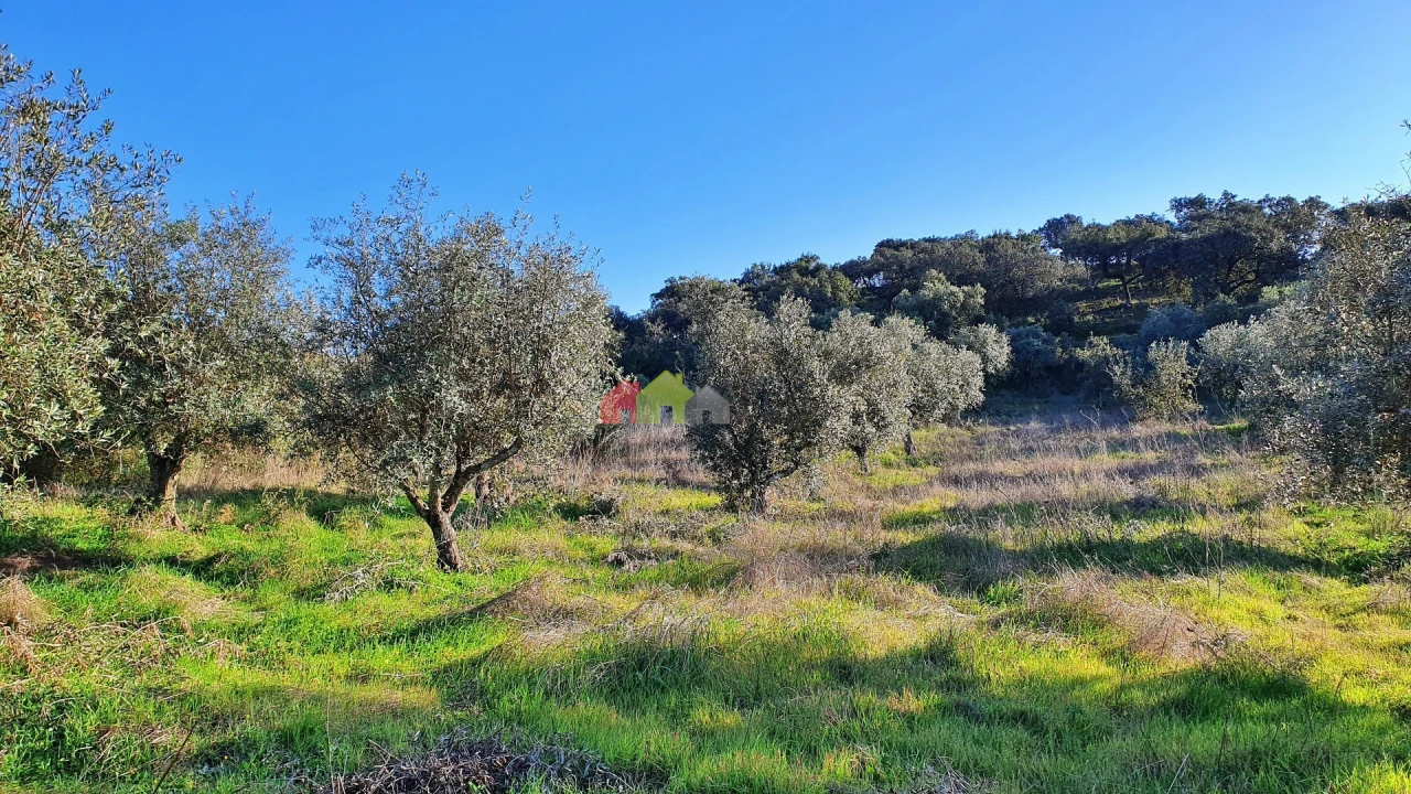 Terreno para Venda em Cuba Foto 3