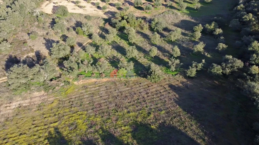 Terreno para Venda em Cuba Foto 11