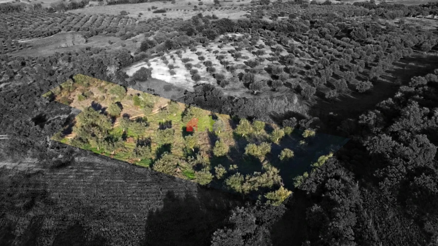 Terreno para Venda em Cuba Foto 9