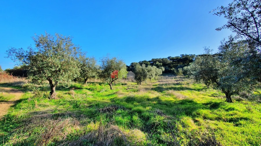 Terreno para Venda em Cuba Foto 2