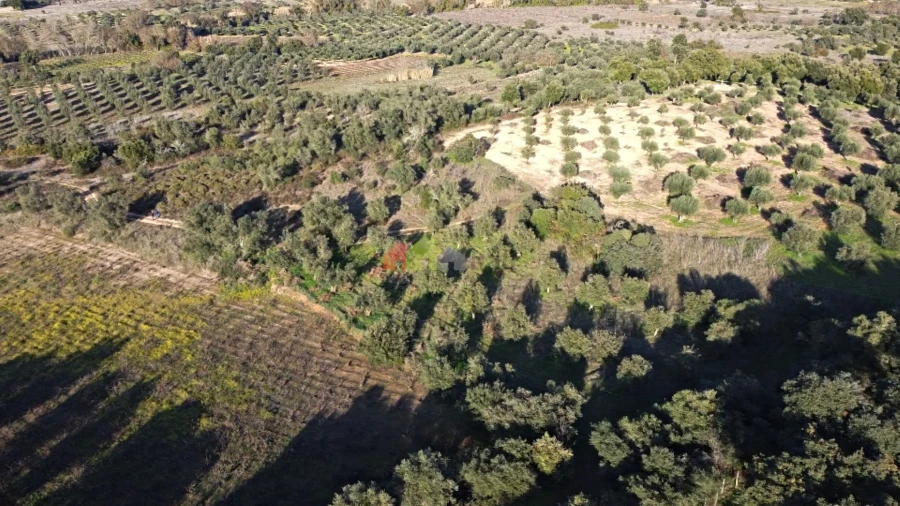 Terreno para Venda em Cuba Foto 14