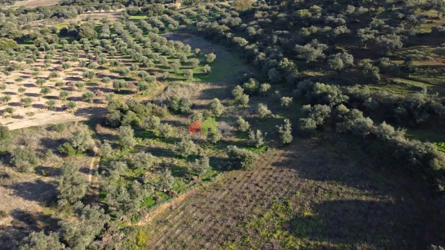 Terreno para Venda em Cuba Foto 7