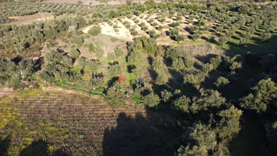 Terreno para Venda em Cuba Foto 18