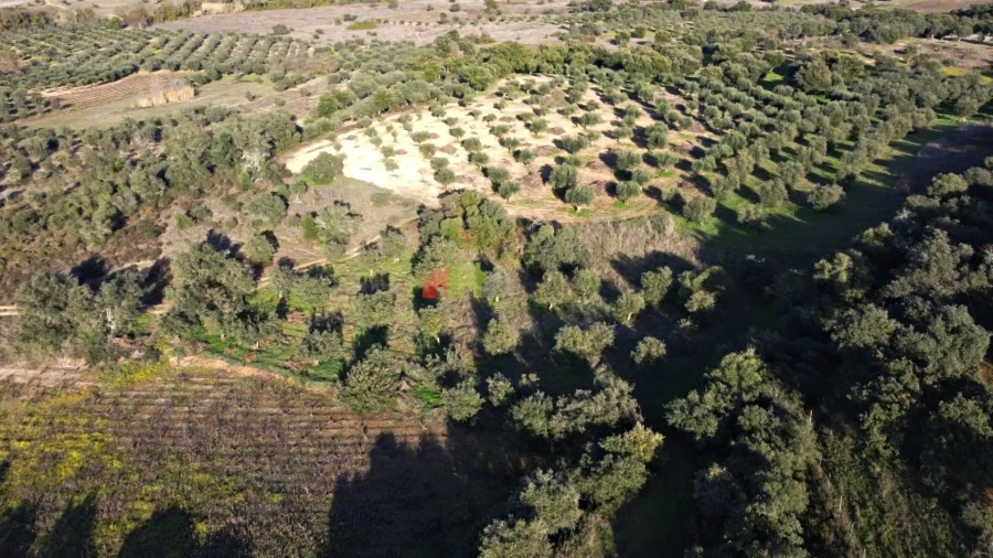 Terreno para Venda em Cuba Foto 16