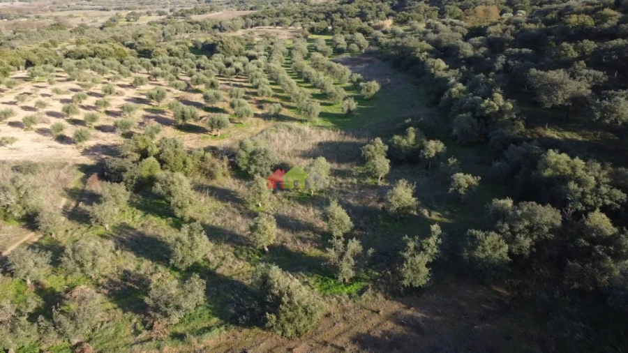 Terreno para Venda em Cuba Foto 6