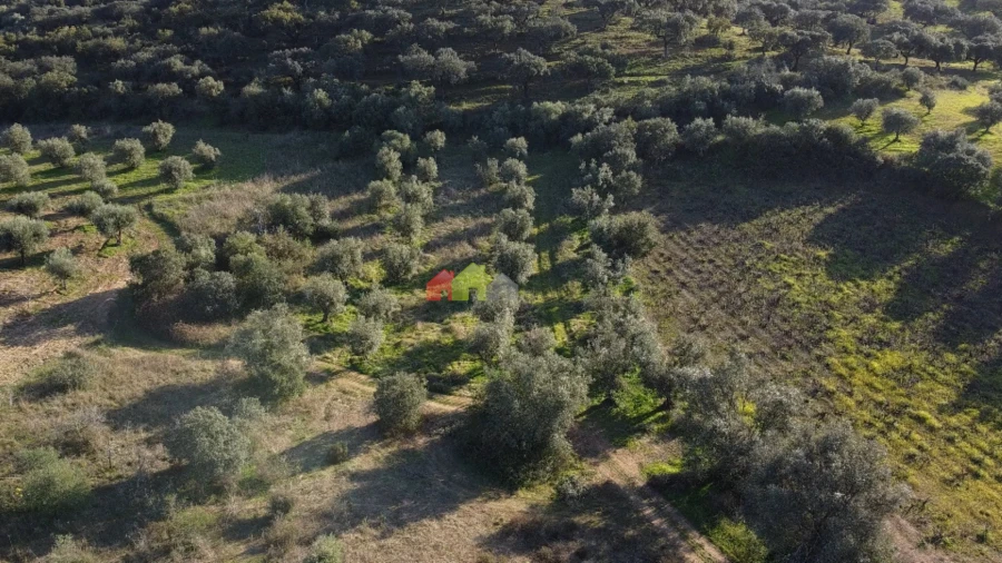Terreno para Venda em Cuba Foto 13