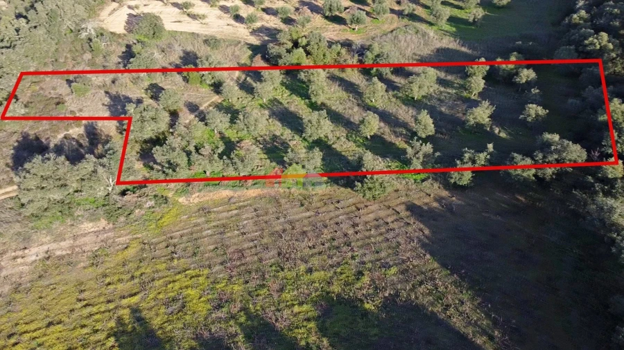 Terreno para Venda em Cuba Foto 10