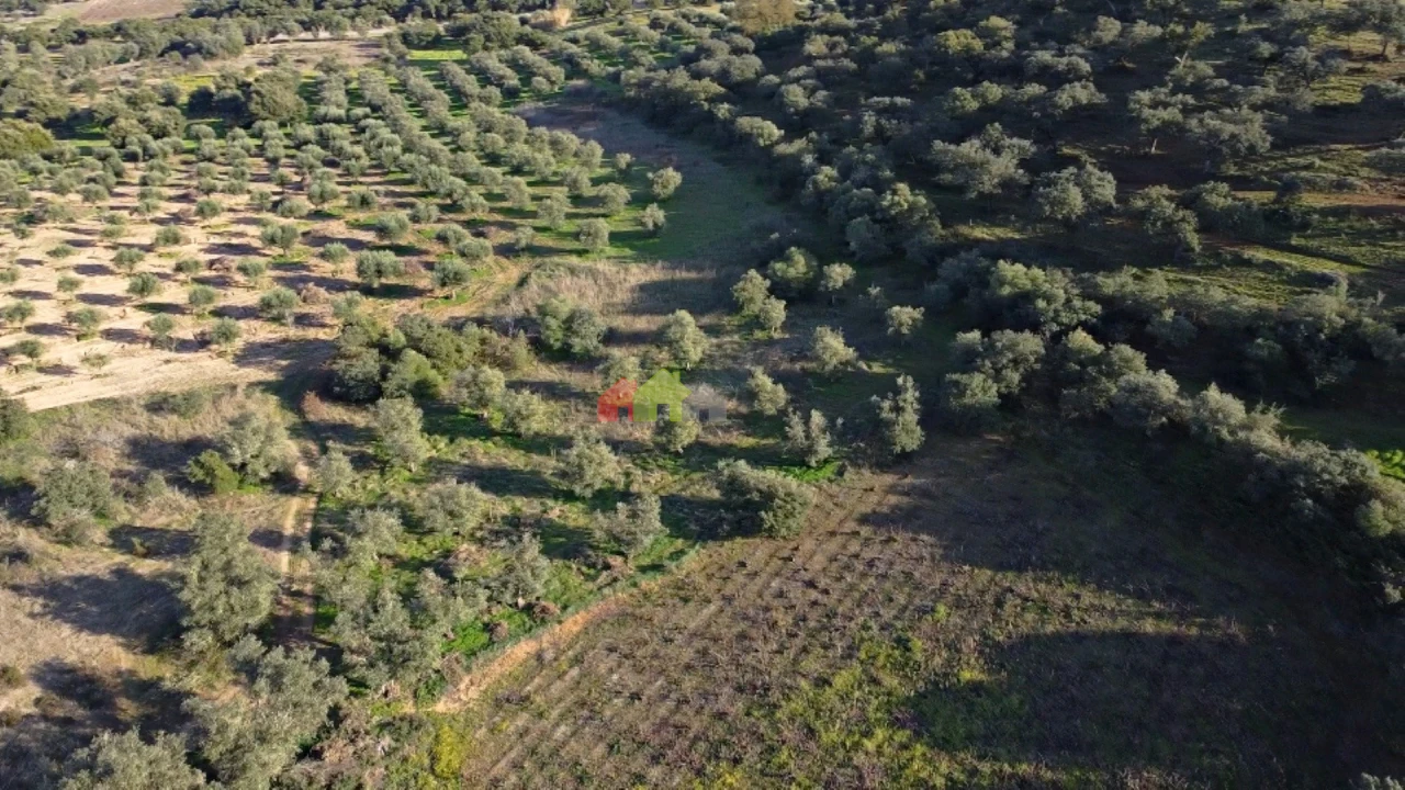 Terreno para Venda em Cuba Foto 7