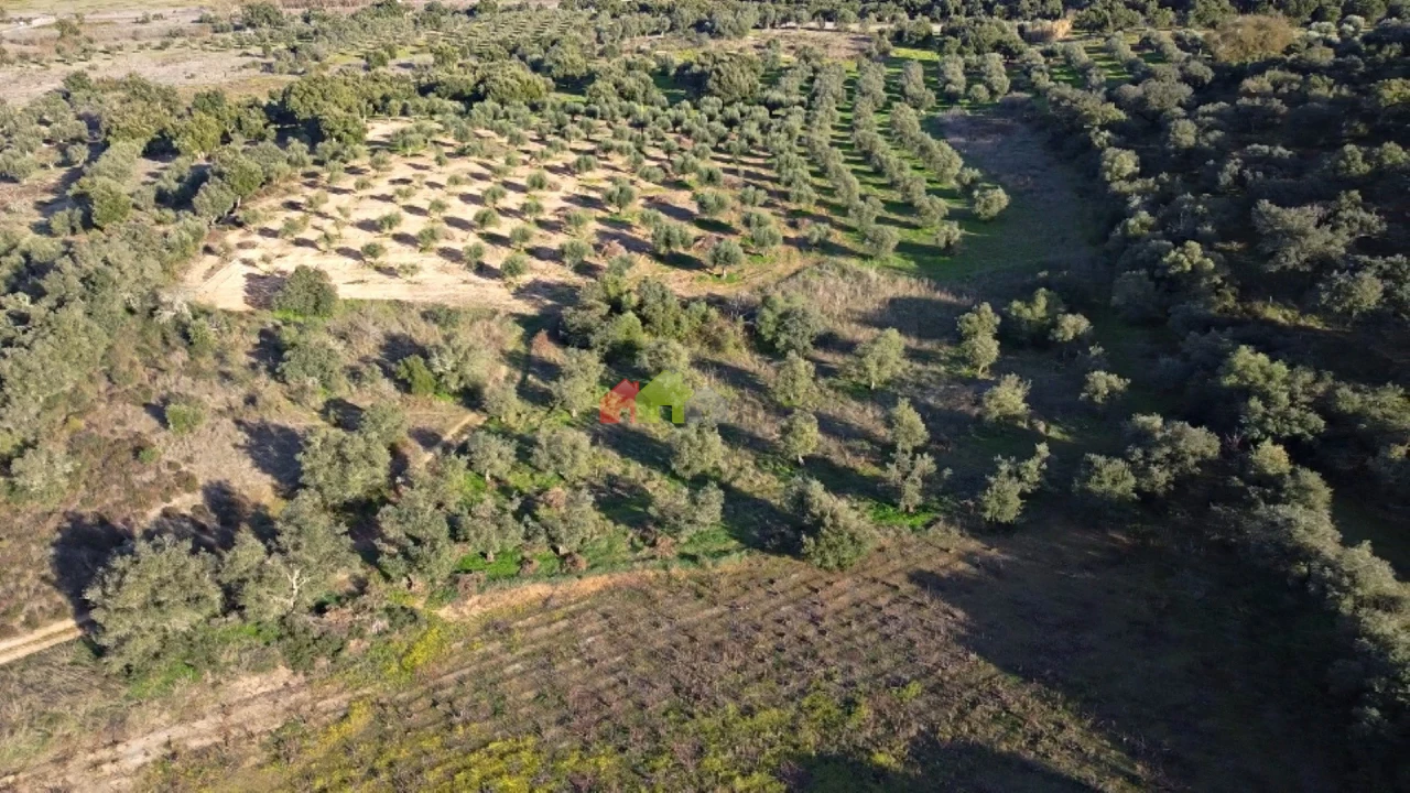 Terreno para Venda em Cuba Foto 15