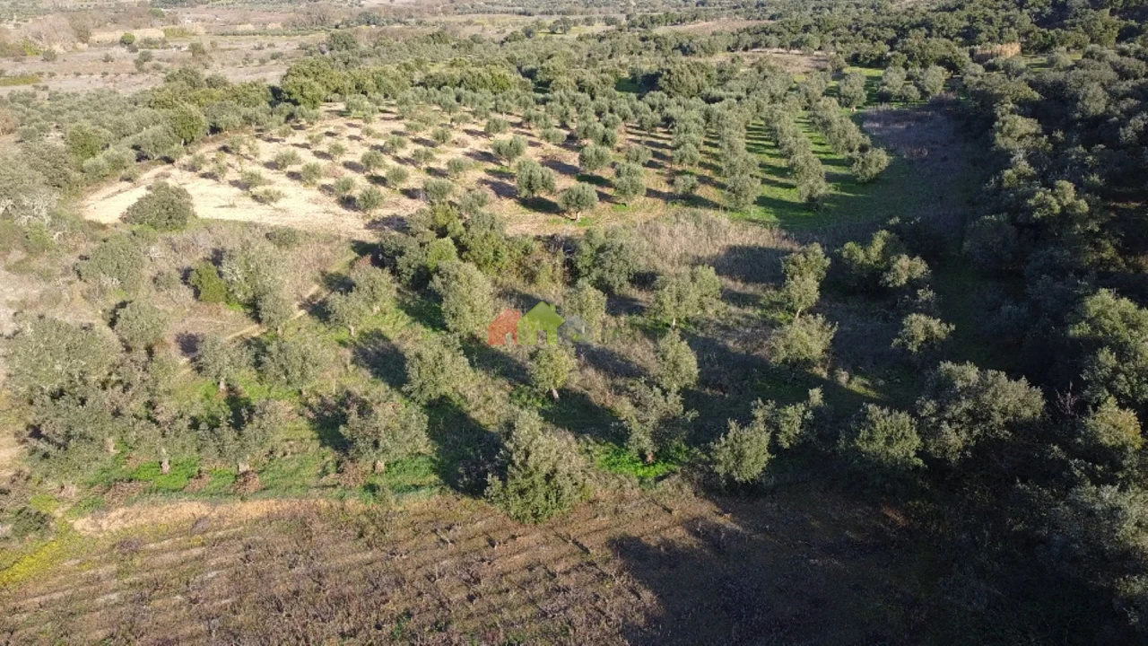 Terreno para Venda em Cuba Foto 17