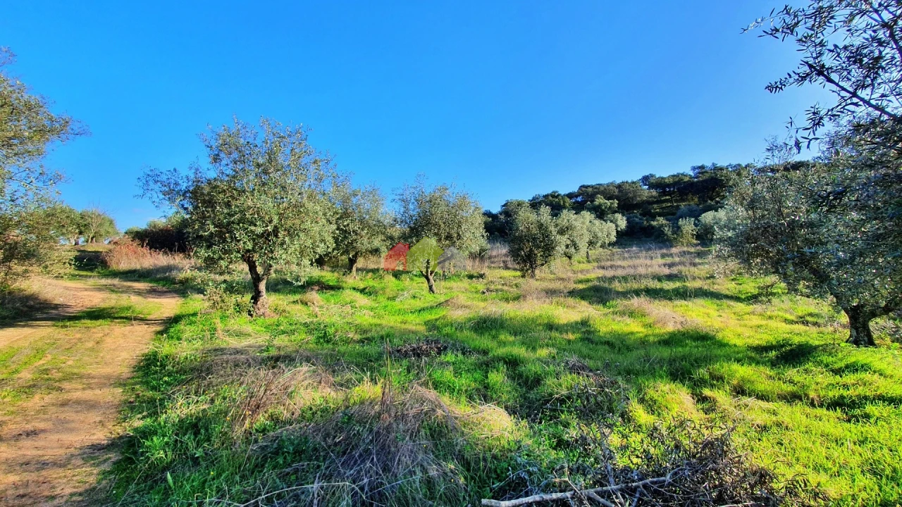 Terreno para Venda em Cuba Foto 4