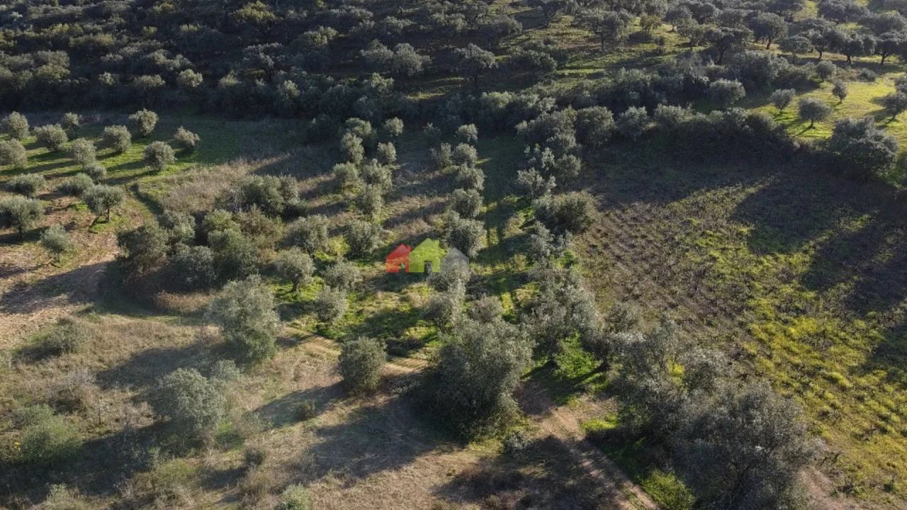 Terreno para Venda em Cuba Foto 13
