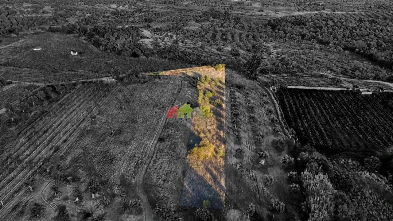 Terreno para Venda em Vila Alva Foto 4