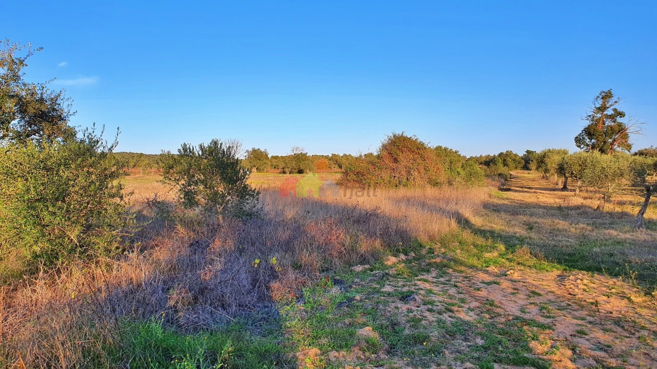 Terreno para Venda em Vila Alva Foto 19