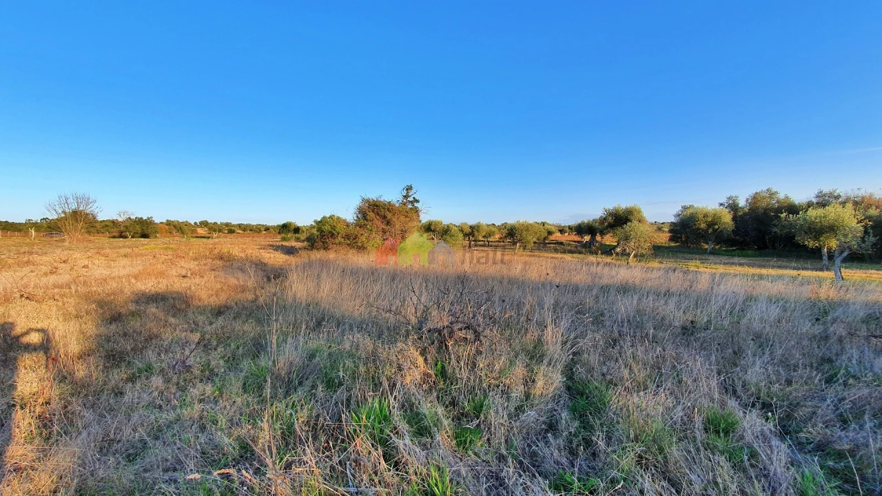 Terreno para Venda em Vila Alva Foto 16