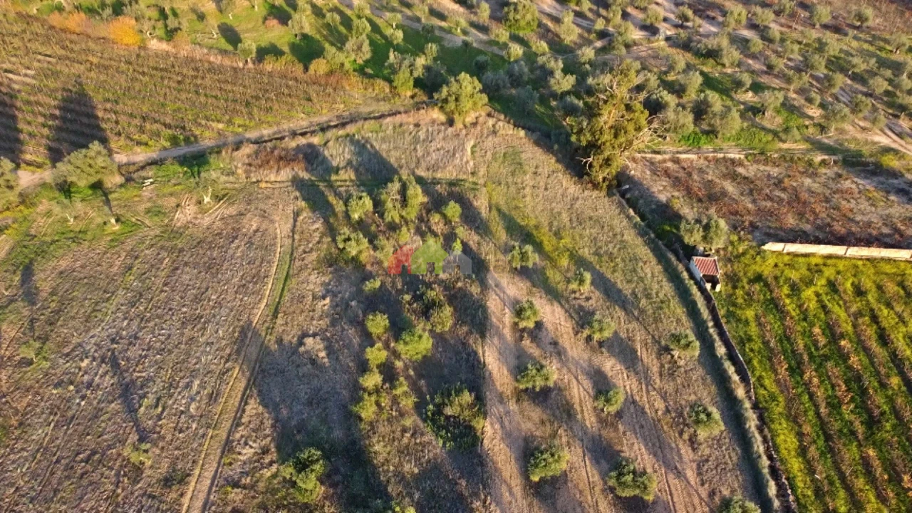 Terreno para Venda em Vila Alva Foto 6