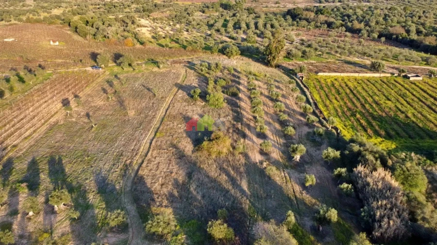 Terreno para Venda em Vila Alva Foto 2