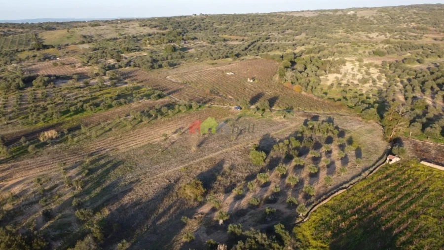Terreno para Venda em Vila Alva Foto 12