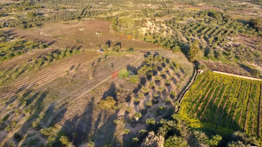 Terreno para Venda em Vila Alva