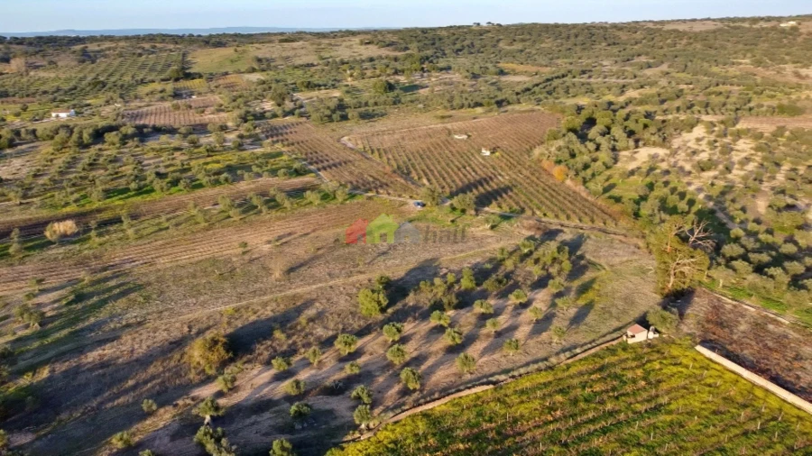 Terreno para Venda em Vila Alva Foto 11