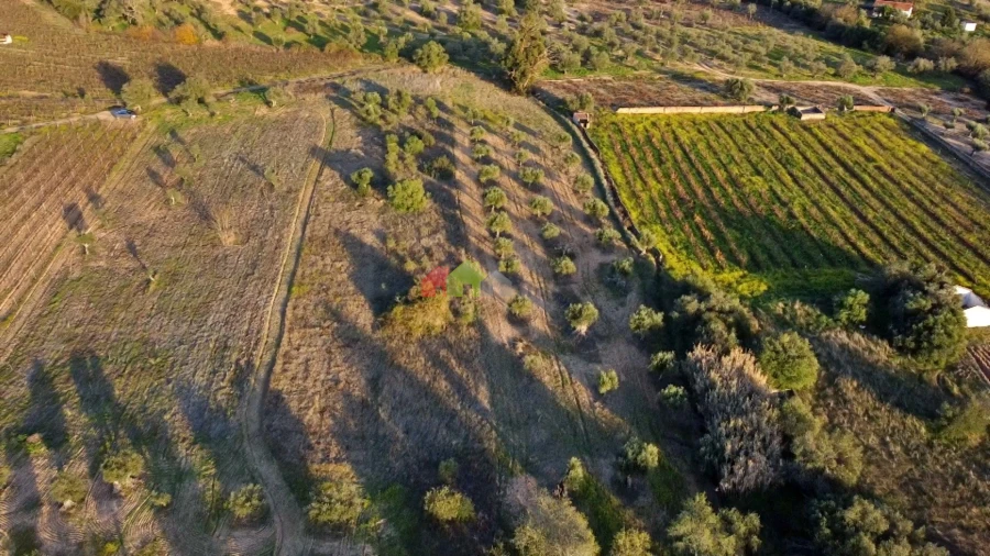 Terreno para Venda em Vila Alva Foto 13