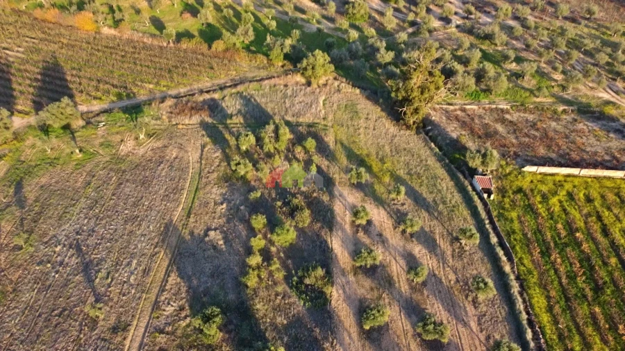 Terreno para Venda em Vila Alva Foto 6