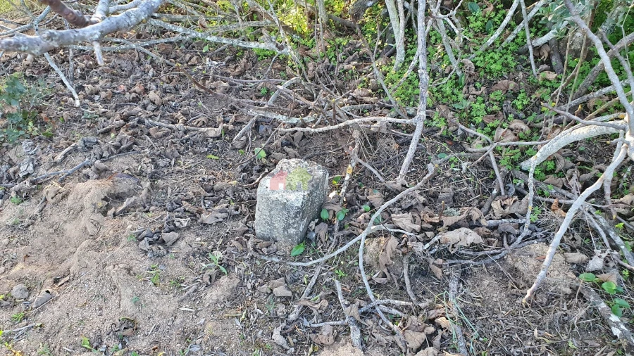 Terreno para Venda em Vila Alva Foto 18