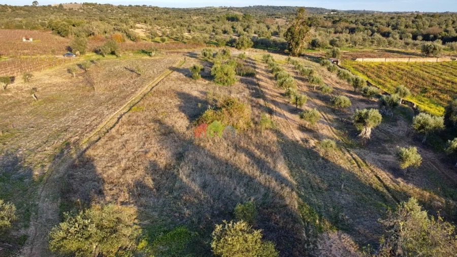 Terreno para Venda em Vila Alva Foto 3