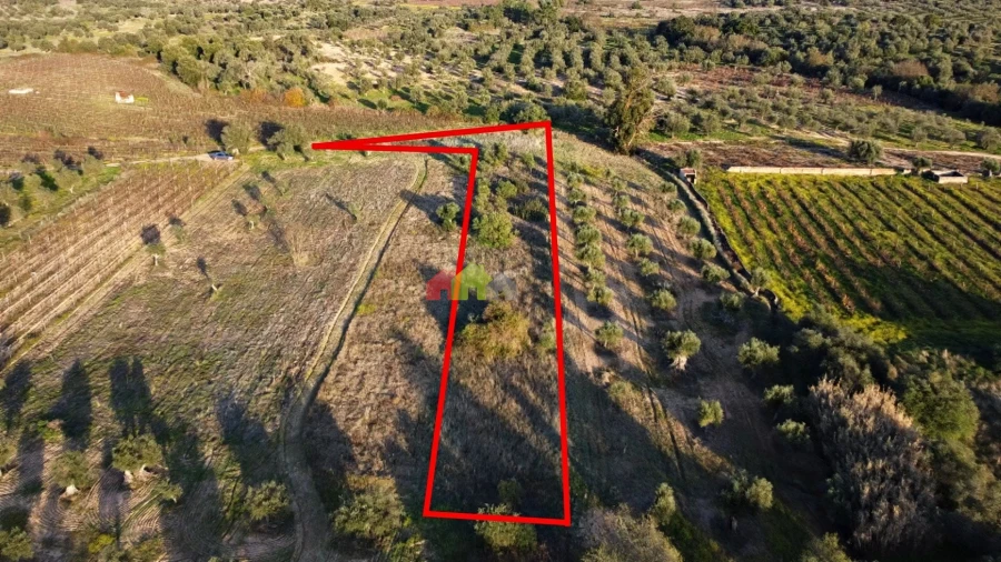 Terreno para Venda em Vila Alva Foto 14