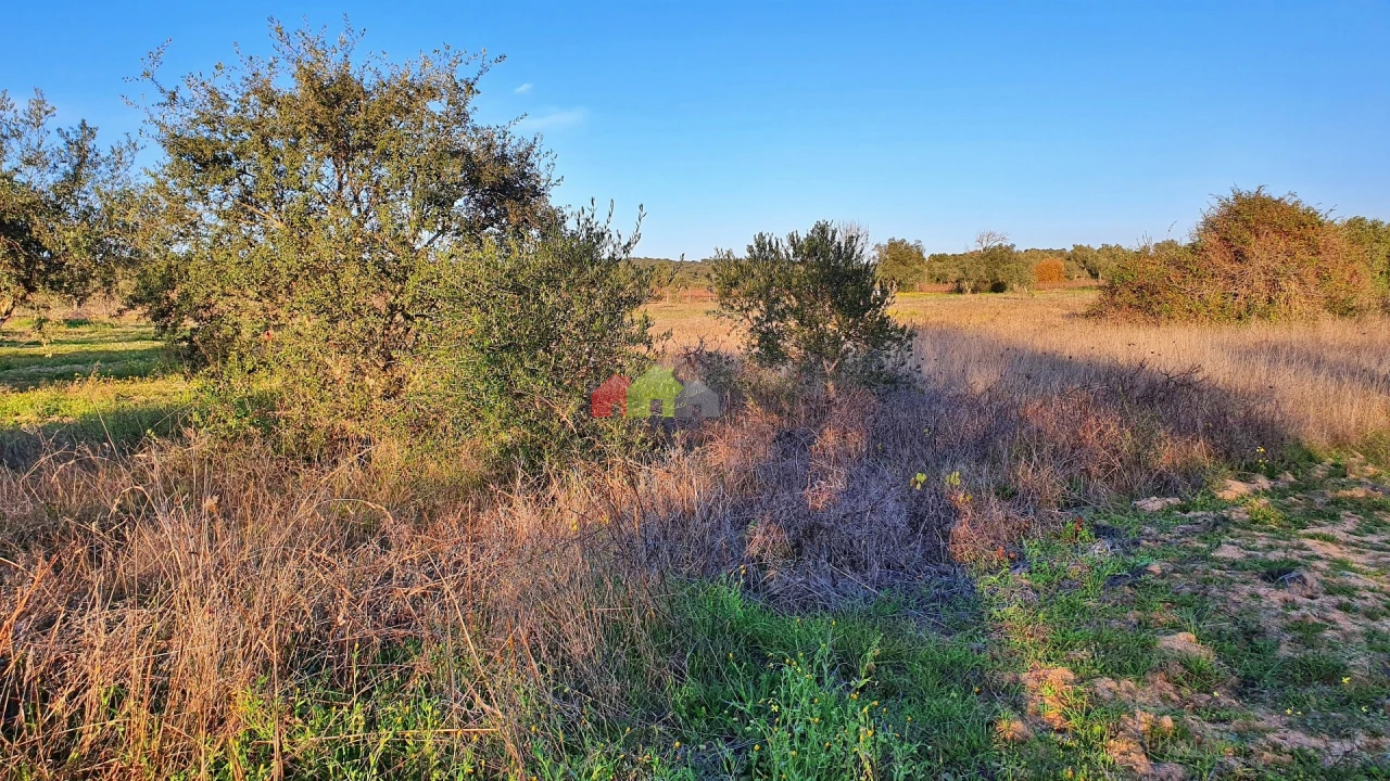 Terreno para Venda em Vila Alva Foto 20