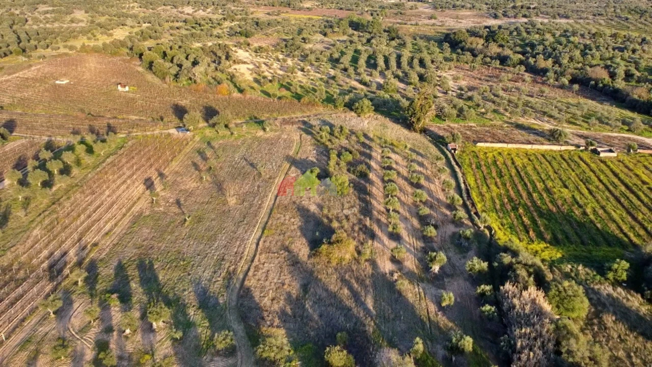 Terreno para Venda em Vila Alva Foto 8