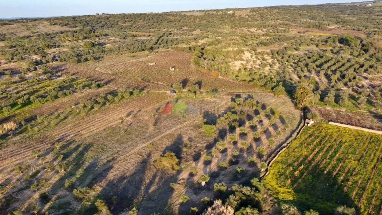 Terreno para Venda em Vila Alva Foto 5