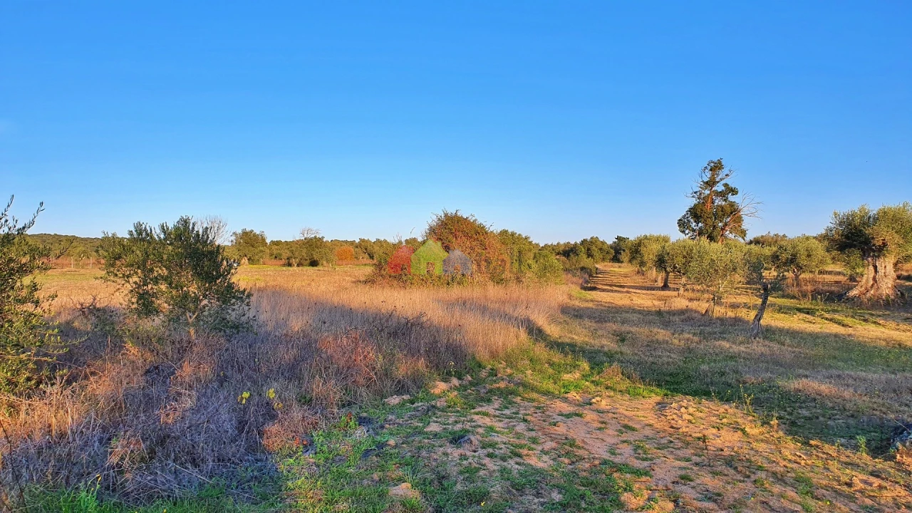Terreno para Venda em Vila Alva Foto 21