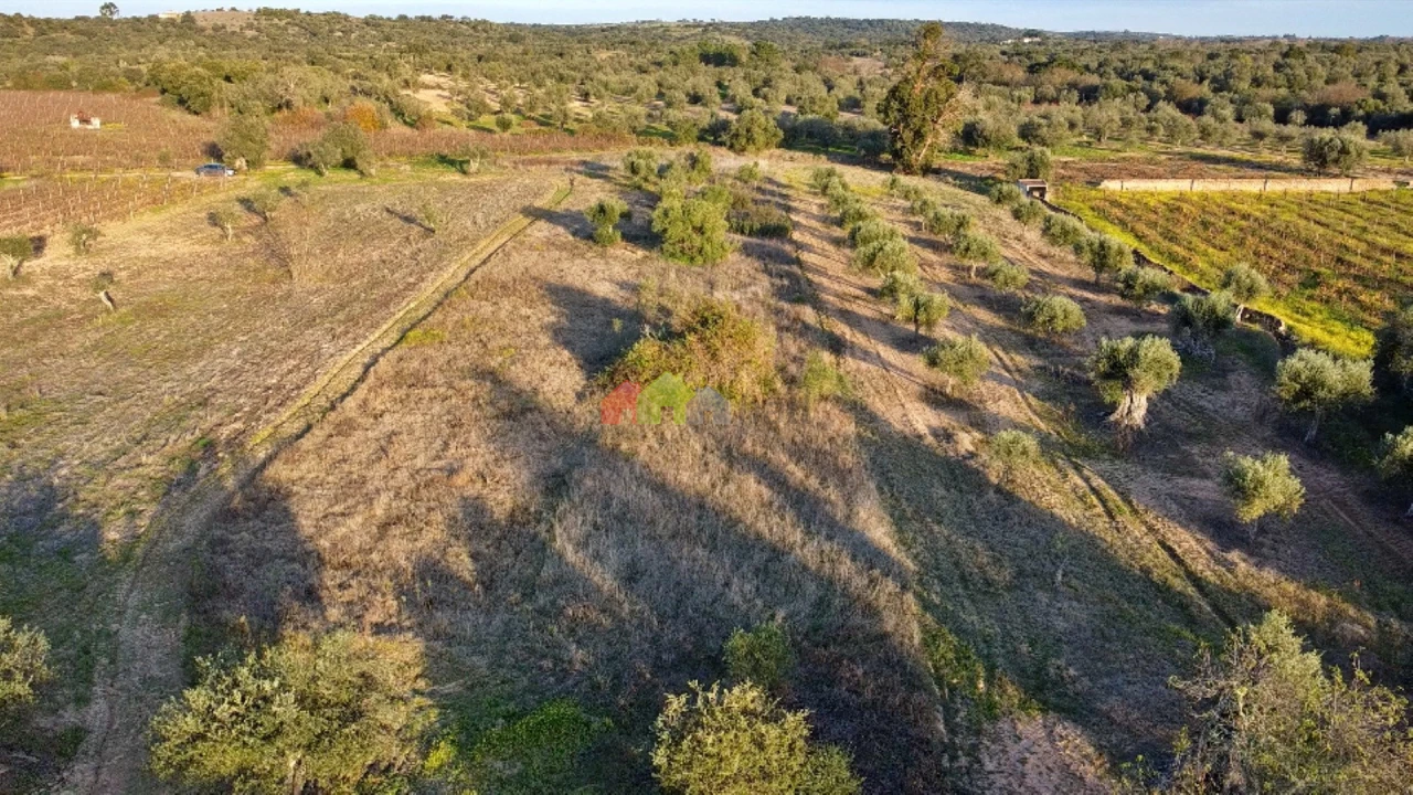Terreno para Venda em Vila Alva Foto 3