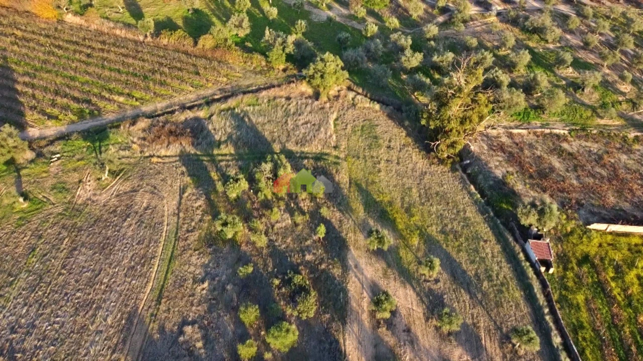 Terreno para Venda em Vila Alva Foto 9