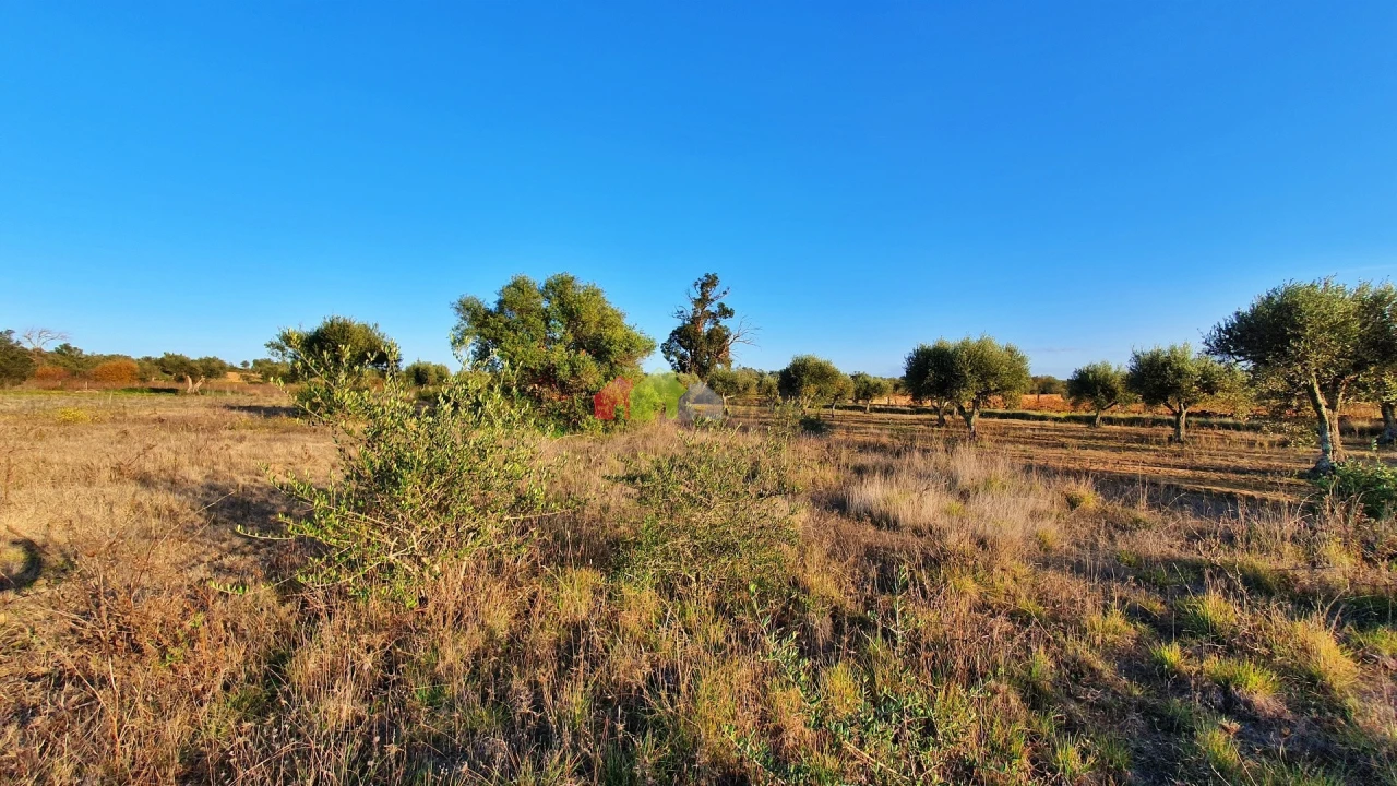 Terreno para Venda em Vila Alva Foto 17