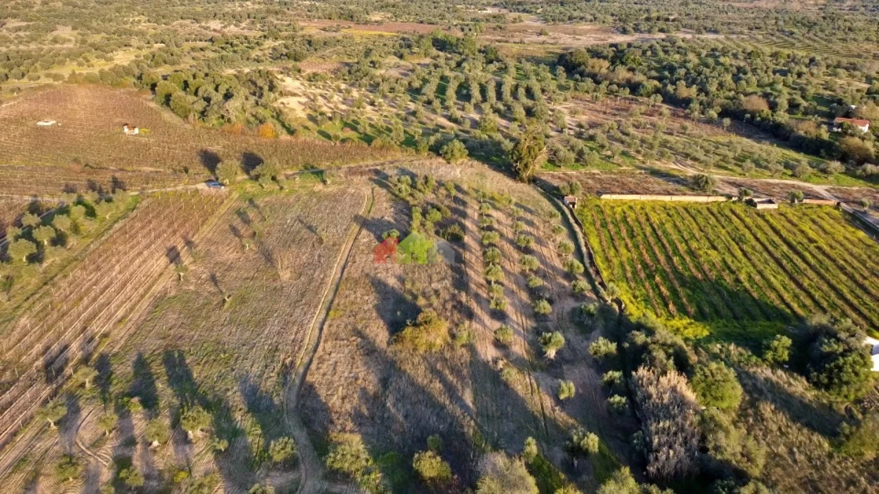 Terreno para Venda em Vila Alva Foto 10