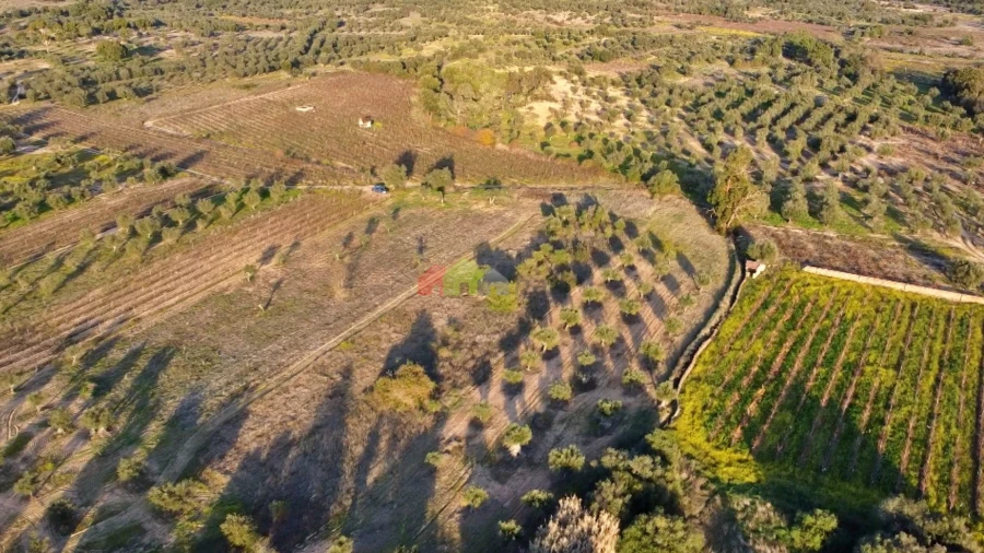 Terreno para Venda em Vila Alva