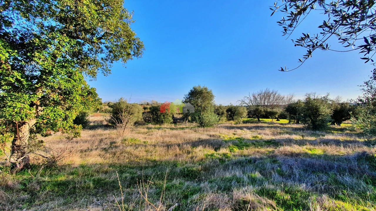 Terreno para Venda em Vila Alva Foto 5