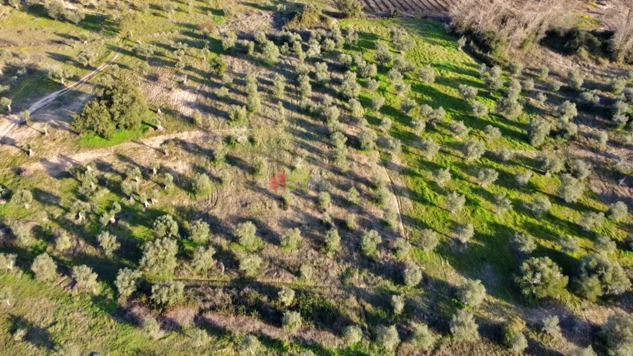 Terreno para Venda em Vila Alva Foto 18