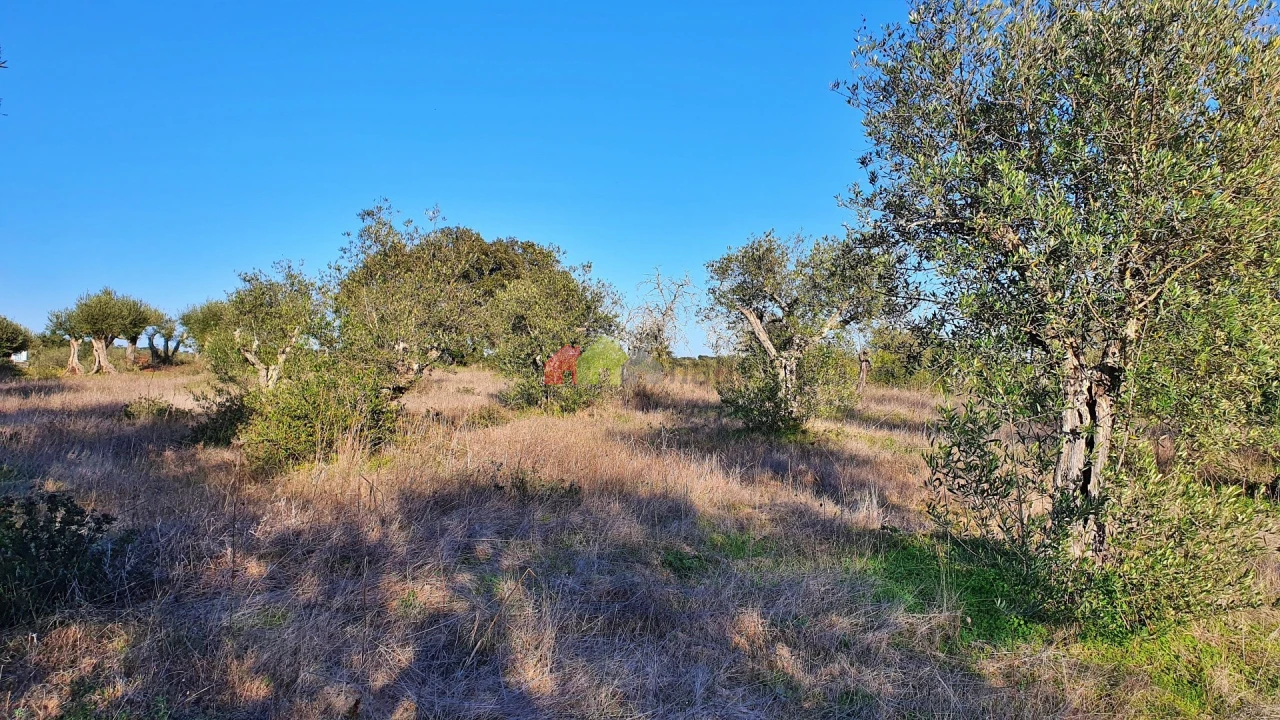 Terreno para Venda em Vila Alva Foto 8