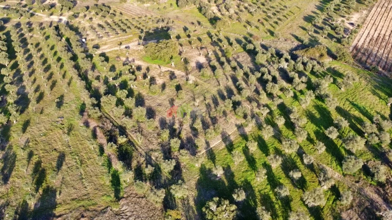 Terreno para Venda em Vila Alva Foto 22