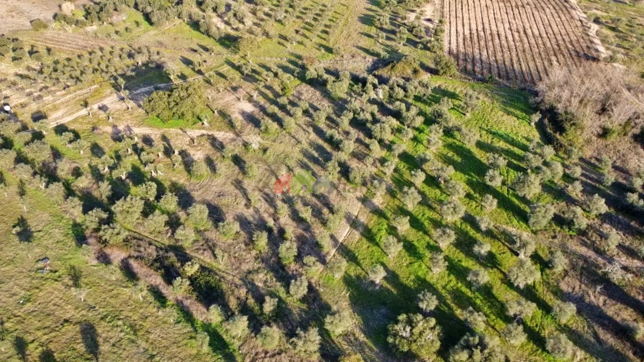 Terreno para Venda em Vila Alva Foto 19